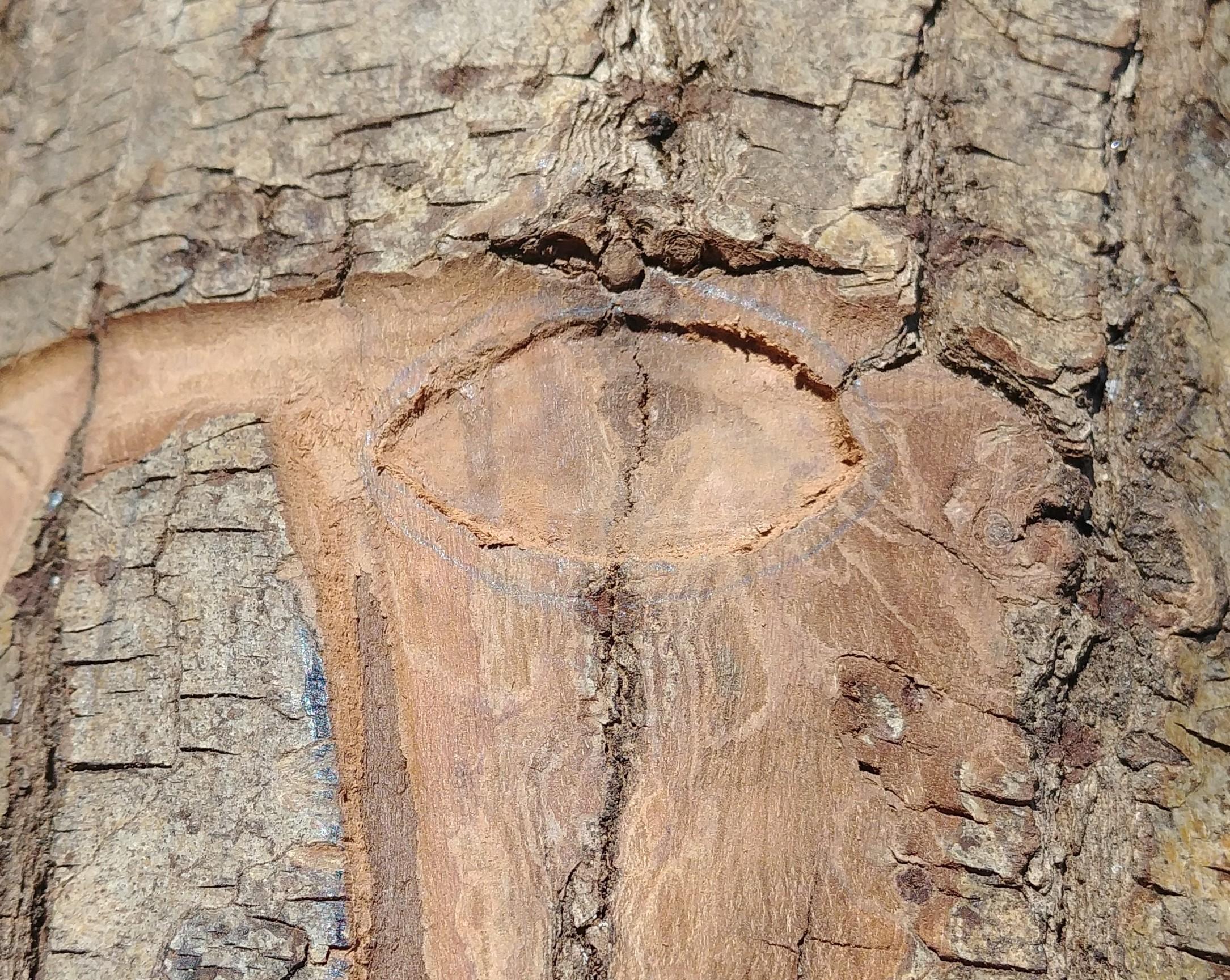 20210605_113211 (2).jpg